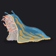 屍ナメクジ Corpse Slug