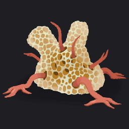 Fossil Stalker