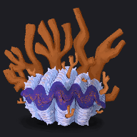 下水貝 Sewer Clam