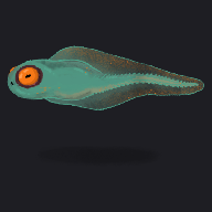 ヒキジャクシ Toadpole