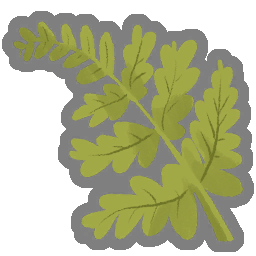 Delicate Frond
